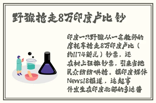 18款夜间禁用软件入口视频